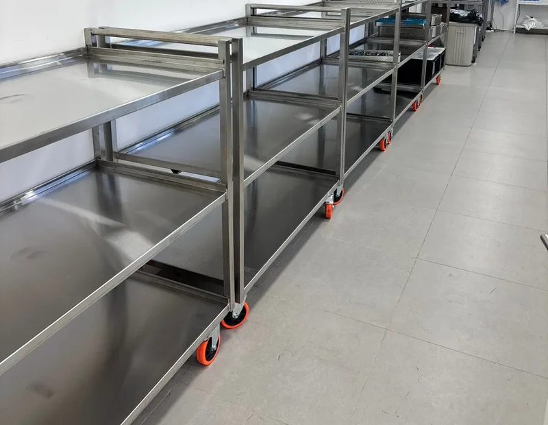 Carros de acero inoxidable fabricados en serie entregados en planta
