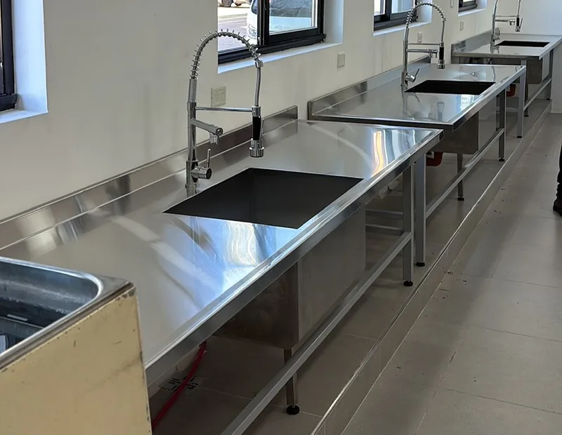 Línea de mesas de lavado con bacha y grifería instaladas en laboratorio